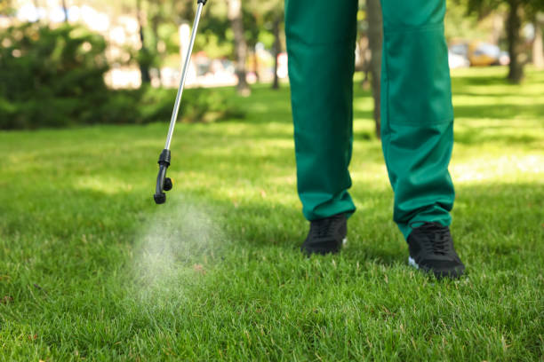 Professional Pest Control in Medina, OH